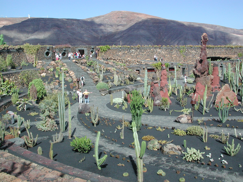 Jardin del Cactus